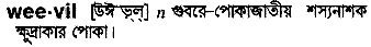 Weevil in Bangla Academy Dictionary
