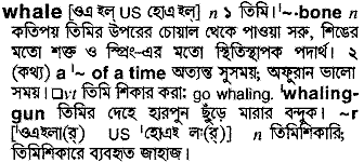 Whale in Bangla Academy Dictionary