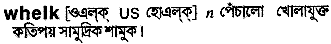 Whelk in Bangla Academy Dictionary