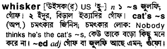 Whisker in Bangla Academy Dictionary