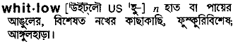Whitlow in Bangla Academy Dictionary