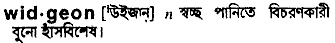 Widgeon in Bangla Academy Dictionary