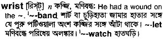 Wrist in Bangla Academy Dictionary
