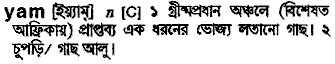Yam in Bangla Academy Dictionary