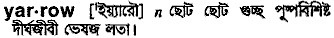 Yarrow in Bangla Academy Dictionary