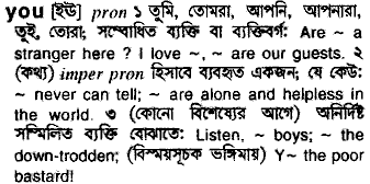 You in Bangla Academy Dictionary