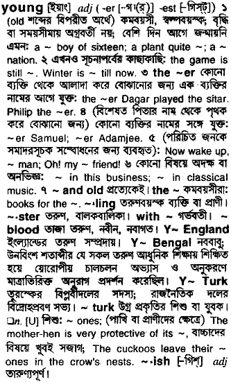 Young in Bangla Academy Dictionary