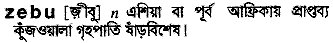 Zebu in Bangla Academy Dictionary
