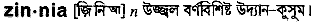 Zinnia in Bangla Academy Dictionary