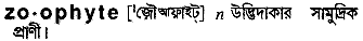 Zoophyte in Bangla Academy Dictionary